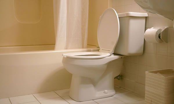 Toilet Installations in Pomona California.