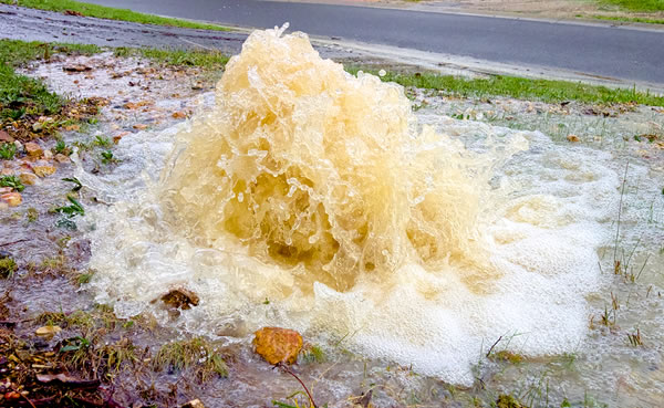 Detecting Sewer and Drain Leaks on Your California Property